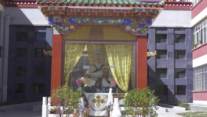 藏医学展览馆 藏医学博物馆 藏医文化交流