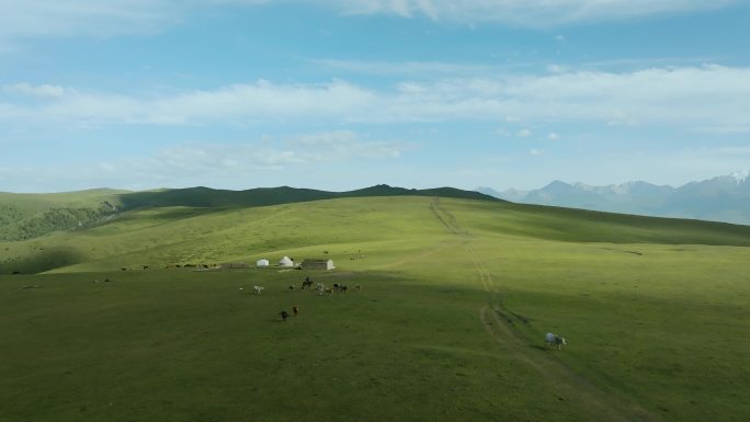 新疆琼库什台 那拉提草原 空旷 美景