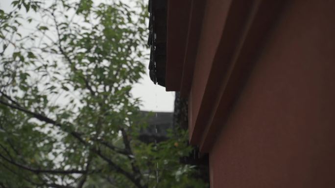 上海松江广富林古建筑下雨天50帧35