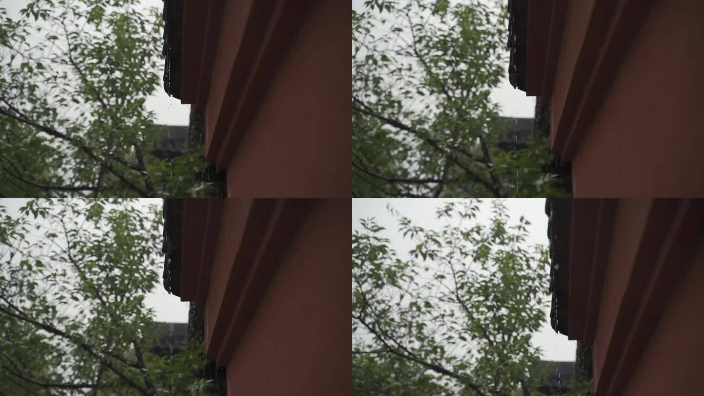 上海松江广富林古建筑下雨天50帧35