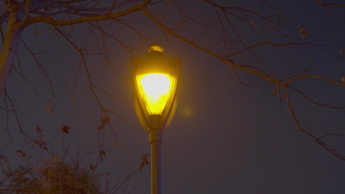 城市夜晚一盏孤独的路灯
