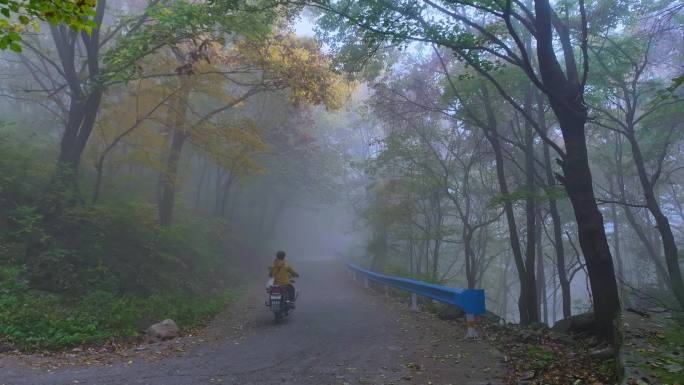 晨雾摩托车道路出行