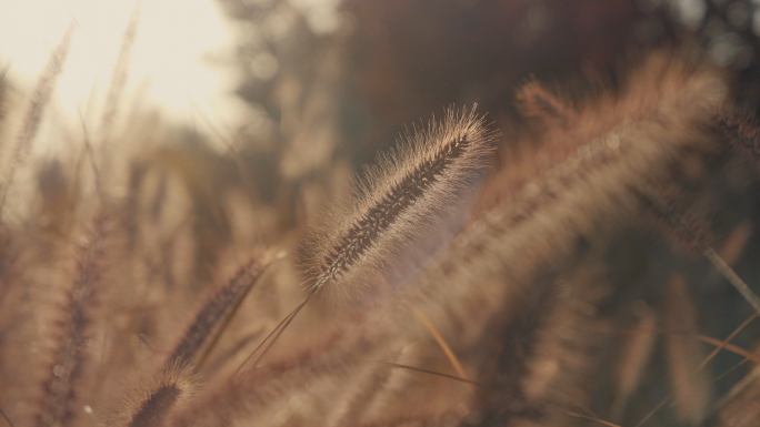 【原创】实拍秋天