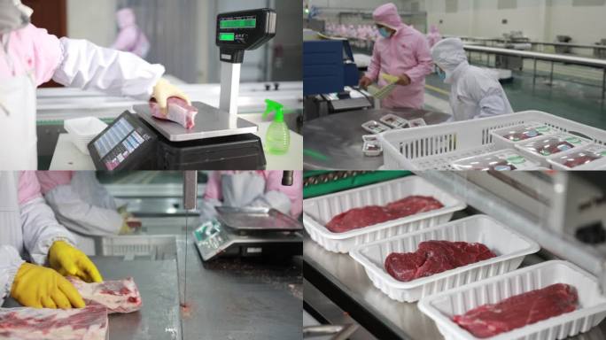 肉类加工 牛肉生产流水线视频素材