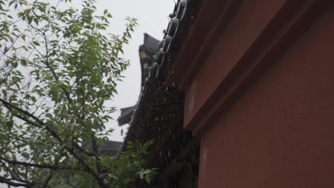 上海广富林下雨天50帧3