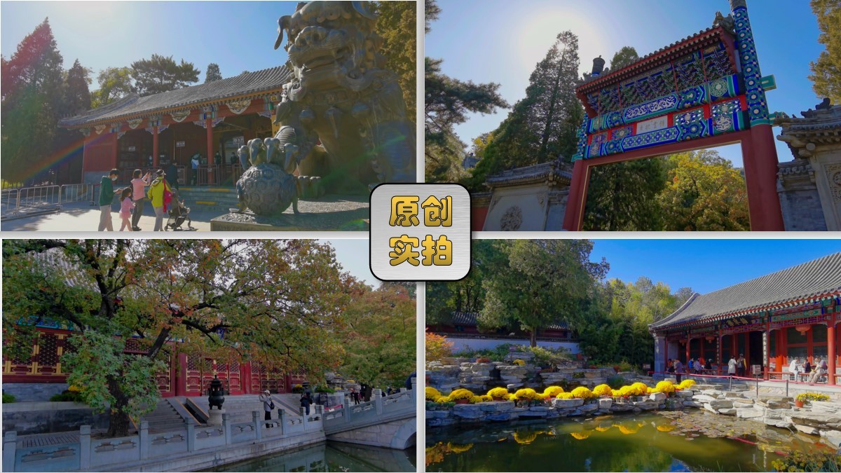 香山公园 北京旅游 香山秋景 游客