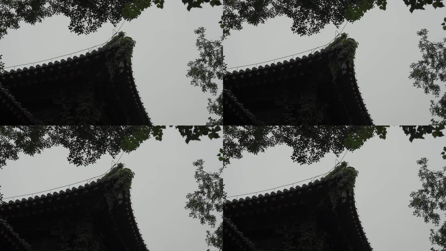 上海广富林下雨天经幢50帧30