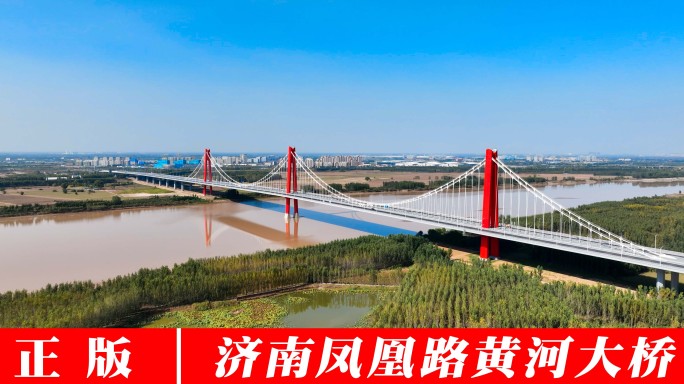 【御3拍摄】凤凰路黄河大桥