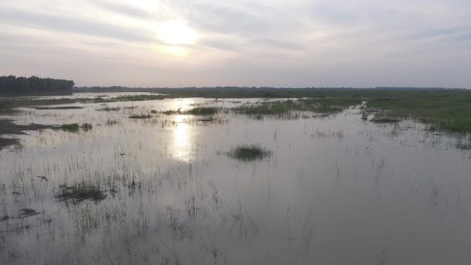 原生态湿地