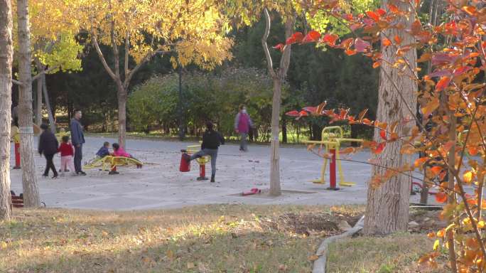 秋天公园孩子玩耍游玩游人健身一家人游玩
