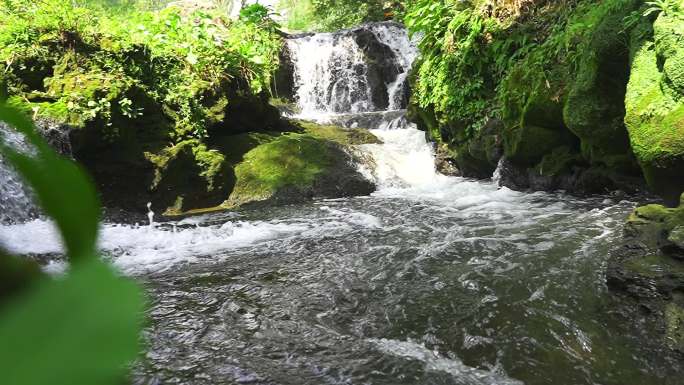 溪流小河流河水河流山水白酒溪流山泉水白酒