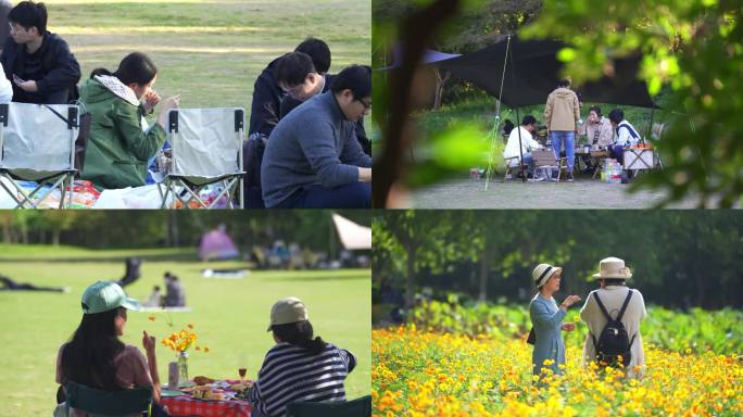 露营 团建 草地 踏青 户外活动 公园