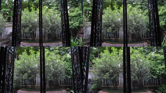 木制窗户和传统园林