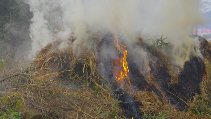 稻草秸秆焚烧浓浓烟雾污染环境