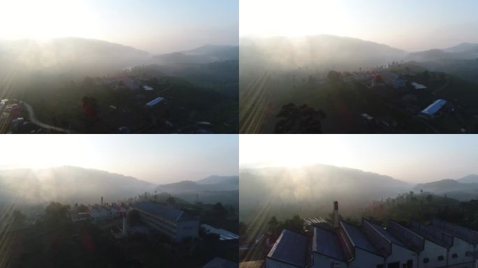 航拍斯里兰卡早晨烟雾缭绕锡兰红茶茶山风光