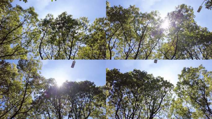 夏天阳光穿过树林树叶子自然风景视频素材1