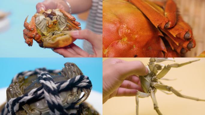 螃蟹大闸蟹美食秋季食材