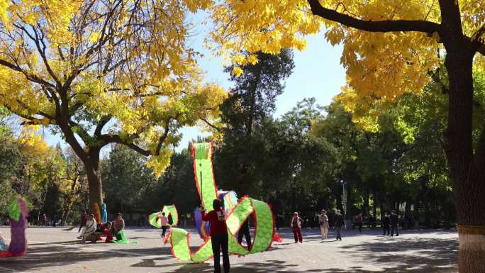 北京龙潭湖公园的秋色