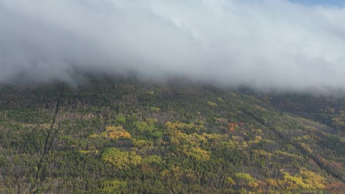 航拍秋季雨雾中的大兴安岭山林