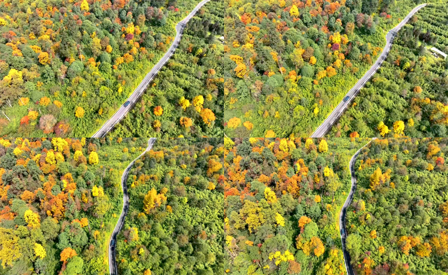 龙苍沟秋色山路行车长镜头航拍4K