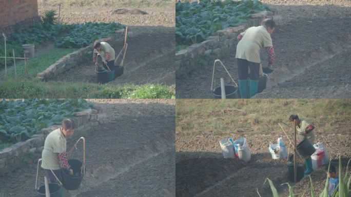 农村妇女菜地浇水耕地菜地视频素材