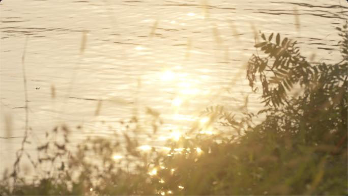 4k傍晚湖边波光粼粼水波光影唯美空镜夕阳