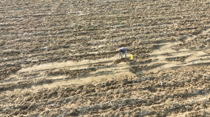 庄稼农活劳作农民农业土地乡村振兴田园种地