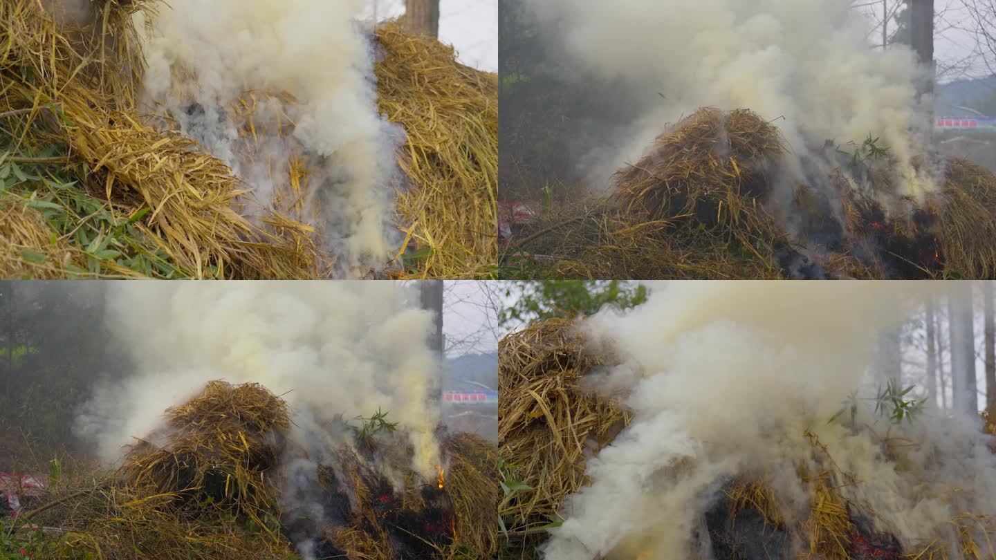 稻草秸秆焚烧烟雾缭绕污染环境