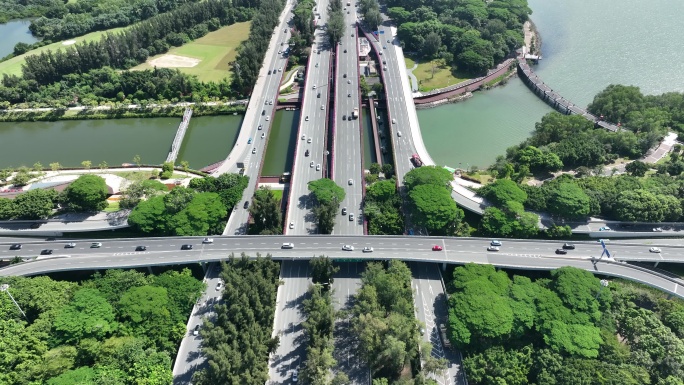 【正版原创】深圳滨海沙河西城市交通道路