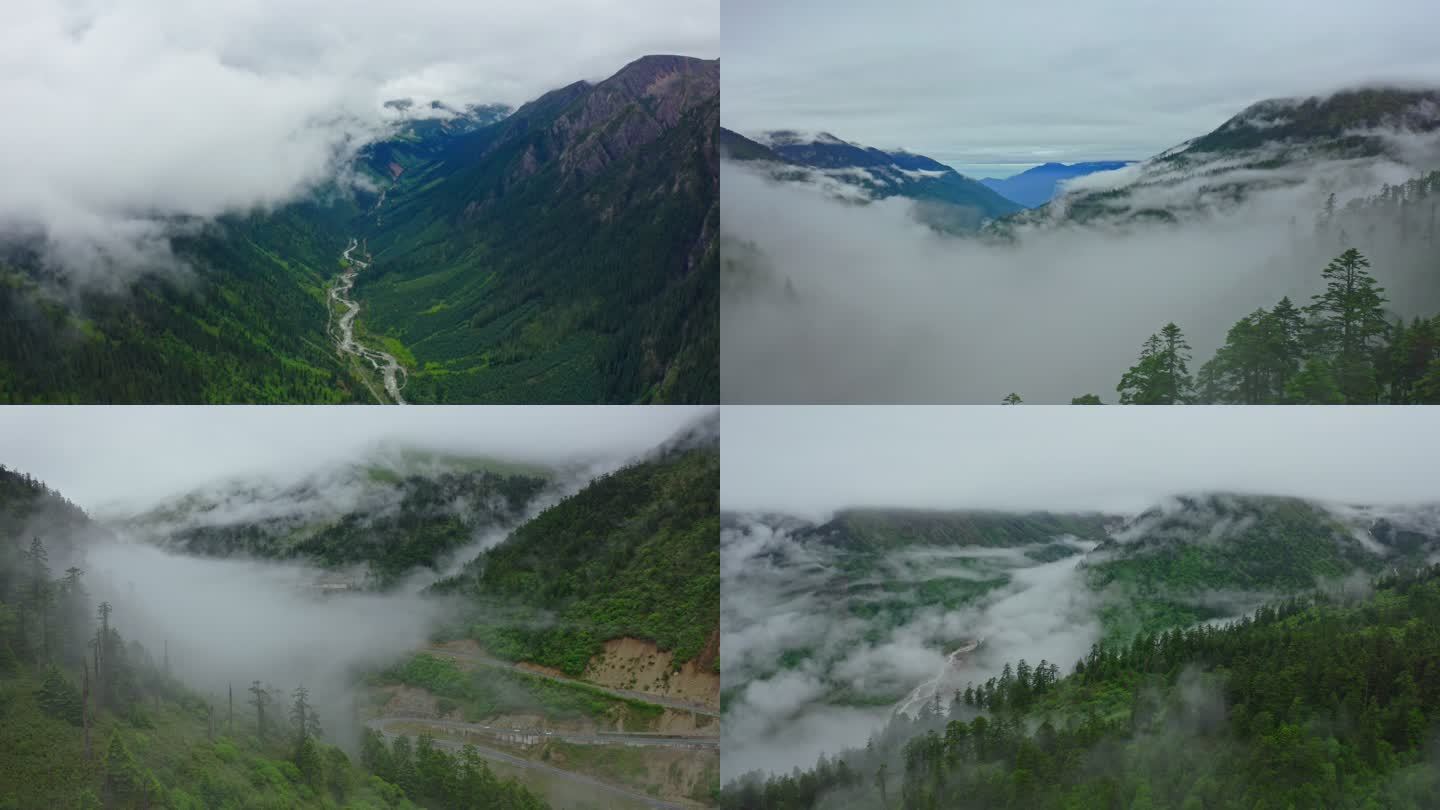 大自然森林云雾4K航拍