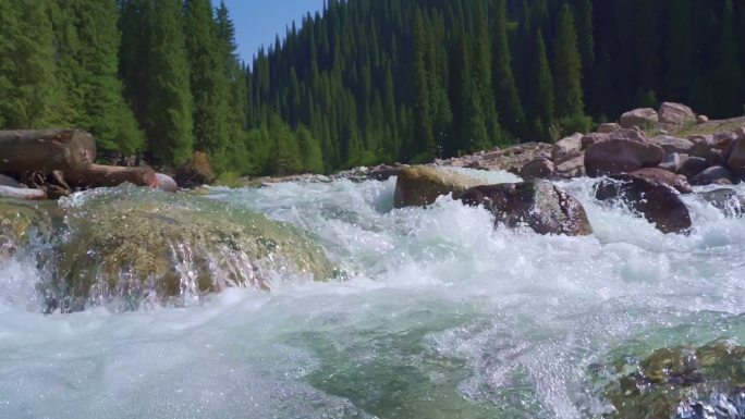 新疆旅游恰西森林公园河流