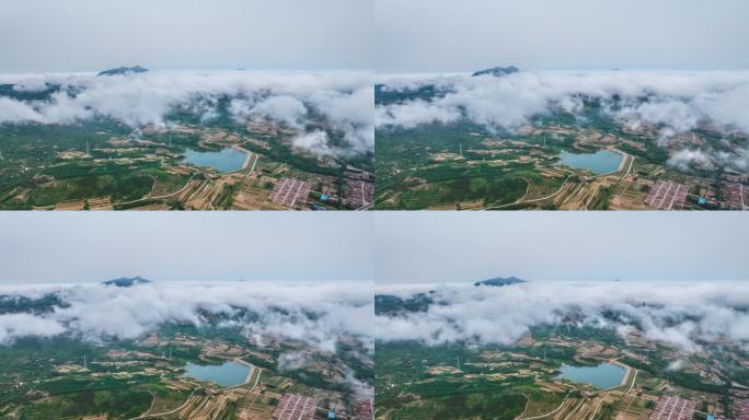 青岛胶州平流雾4K