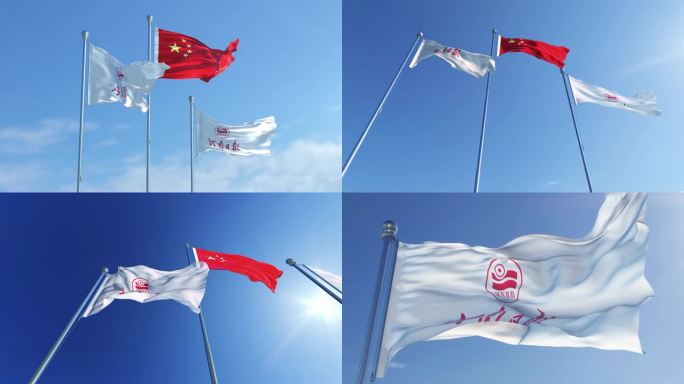 河南日报报业集团旗帜