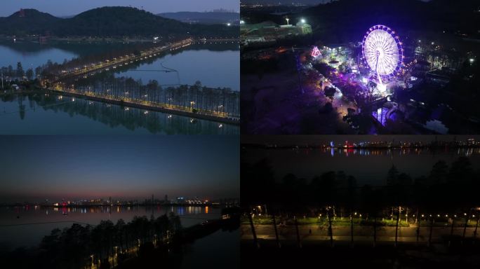 【御3航拍】东湖夜景航拍