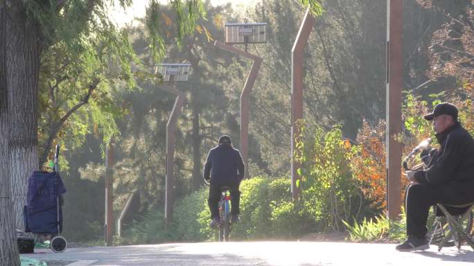 骑车锻炼散步锻炼生态城市老人晨练凌晨遛弯