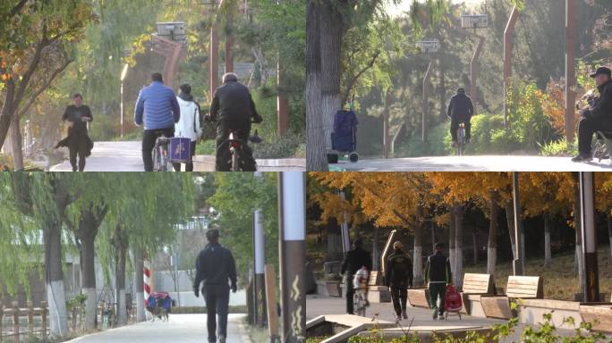 骑车锻炼散步锻炼生态城市老人晨练凌晨遛弯