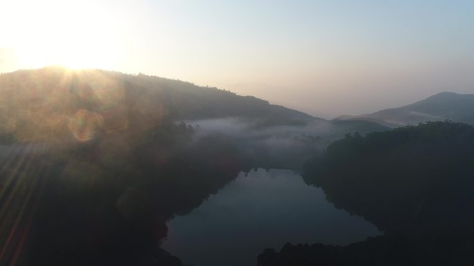 航拍斯里兰卡早晨烟雾缭绕锡兰红茶茶山风光