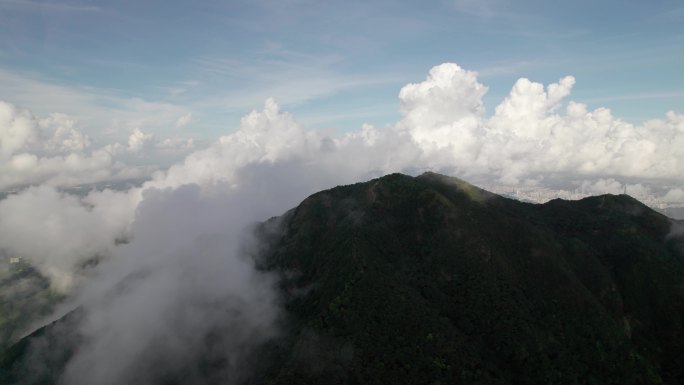 深圳梧桐山