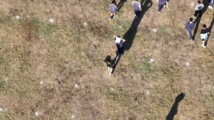 学校操场草地学生阳光散步影子黑色实拍素材