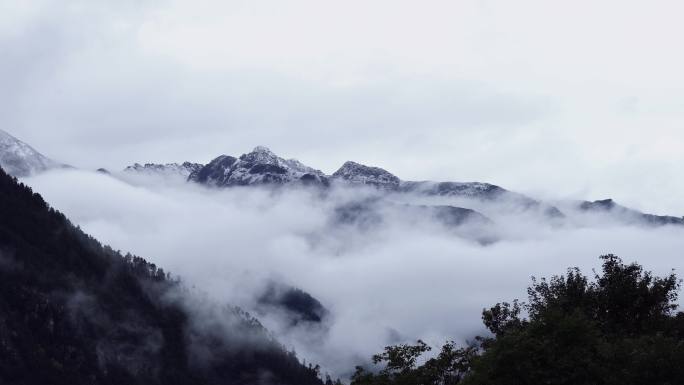 山间云雾 雾气