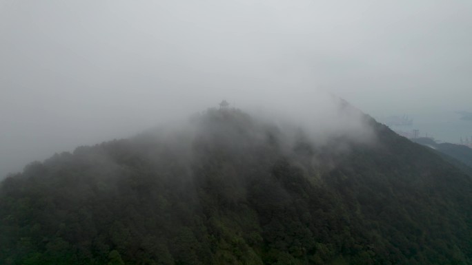 深圳梧桐山