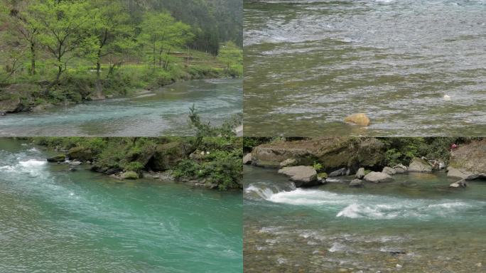 春光明媚小河流水【集锦】