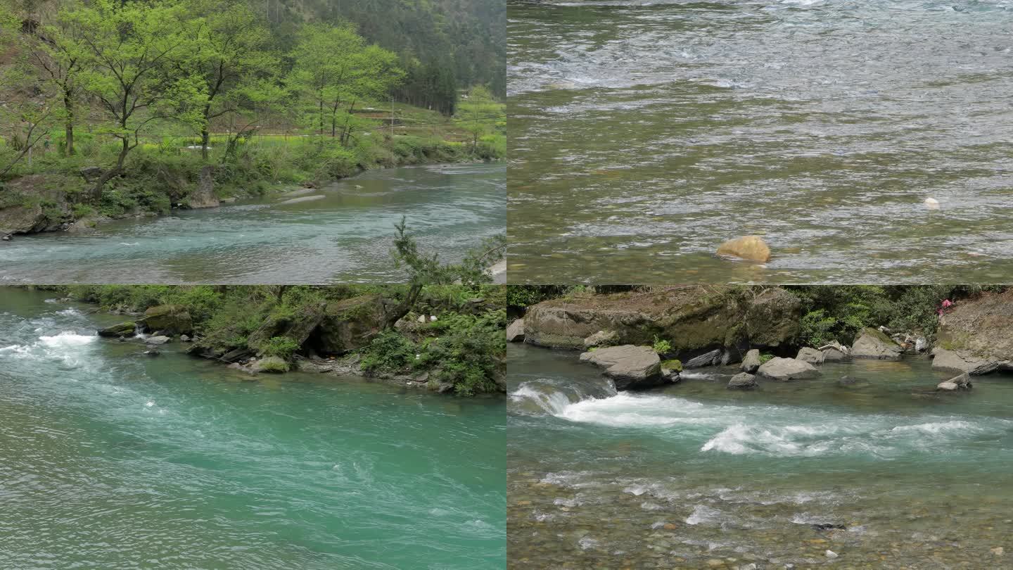 春光明媚小河流水【集锦】