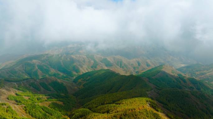 云雾缭绕的山间云雾苏木山