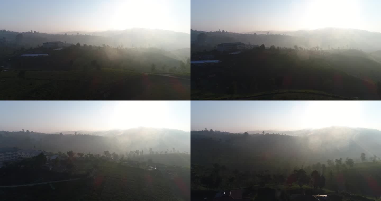 航拍斯里兰卡早晨烟雾缭绕锡兰红茶茶山风光