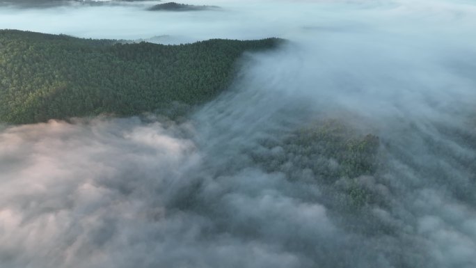 航拍黎明山林云海