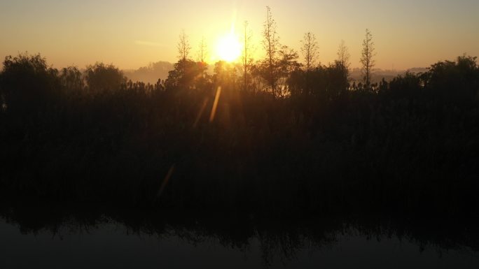 扬州 北湖湿地公园 日出 航拍 原创4K