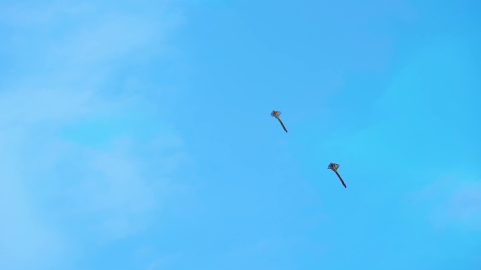 蓝天白云下的两只风筝