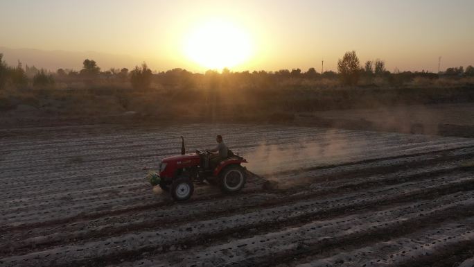夕阳下农民驾驶拖拉机在田间清除地膜