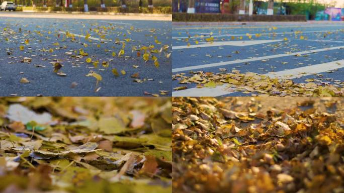 4K马路上金黄树叶随风滚动秋天金黄色树叶